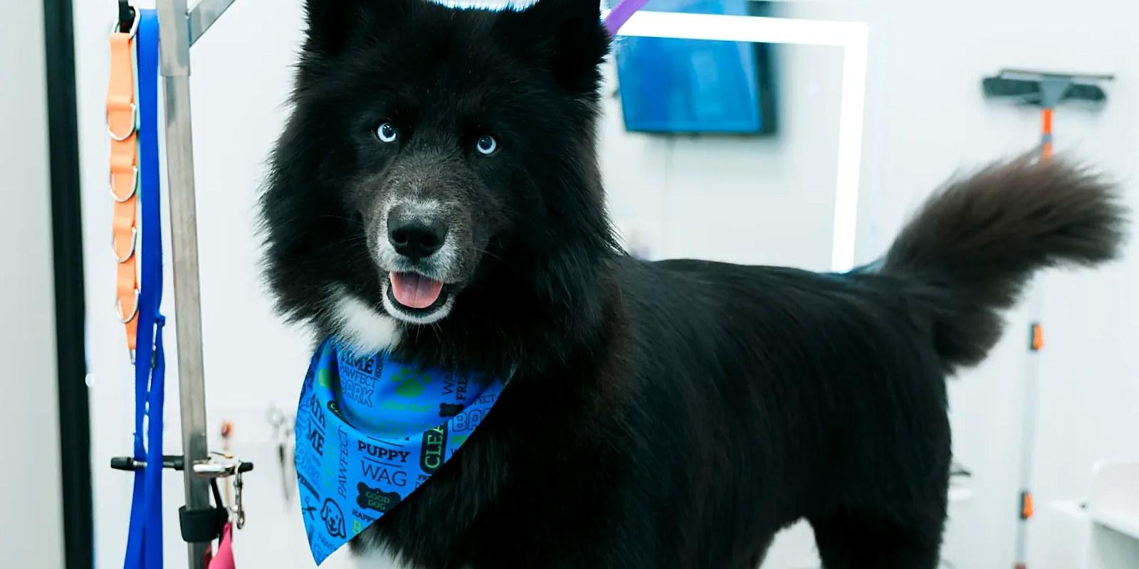 The Lillian Ruff Pet Spa storefront at 835 Portion Road in Ronkonkoma, New York