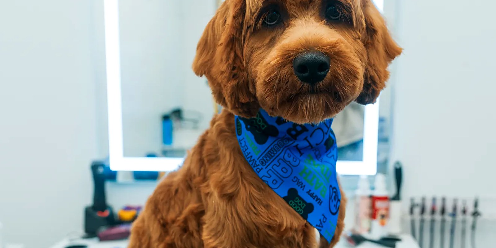 The Lillian Ruff Pet Spa grooming salon storefront on Laurel Road in East Northport, New York
