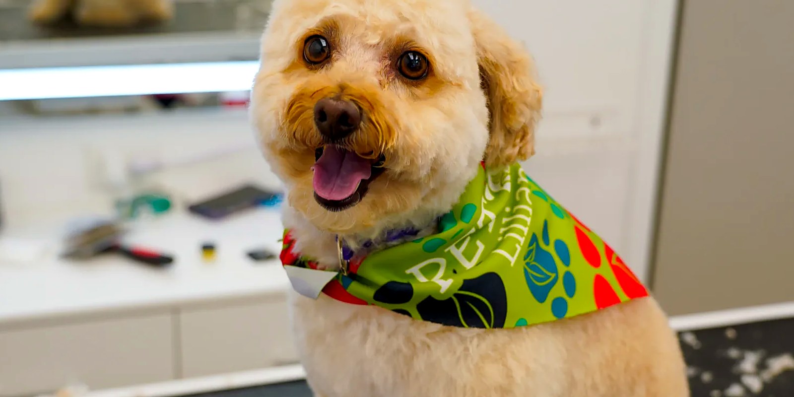 The Lillian Ruff Pet Spa storefront at 16 Laurel Rd in East Northport, New York