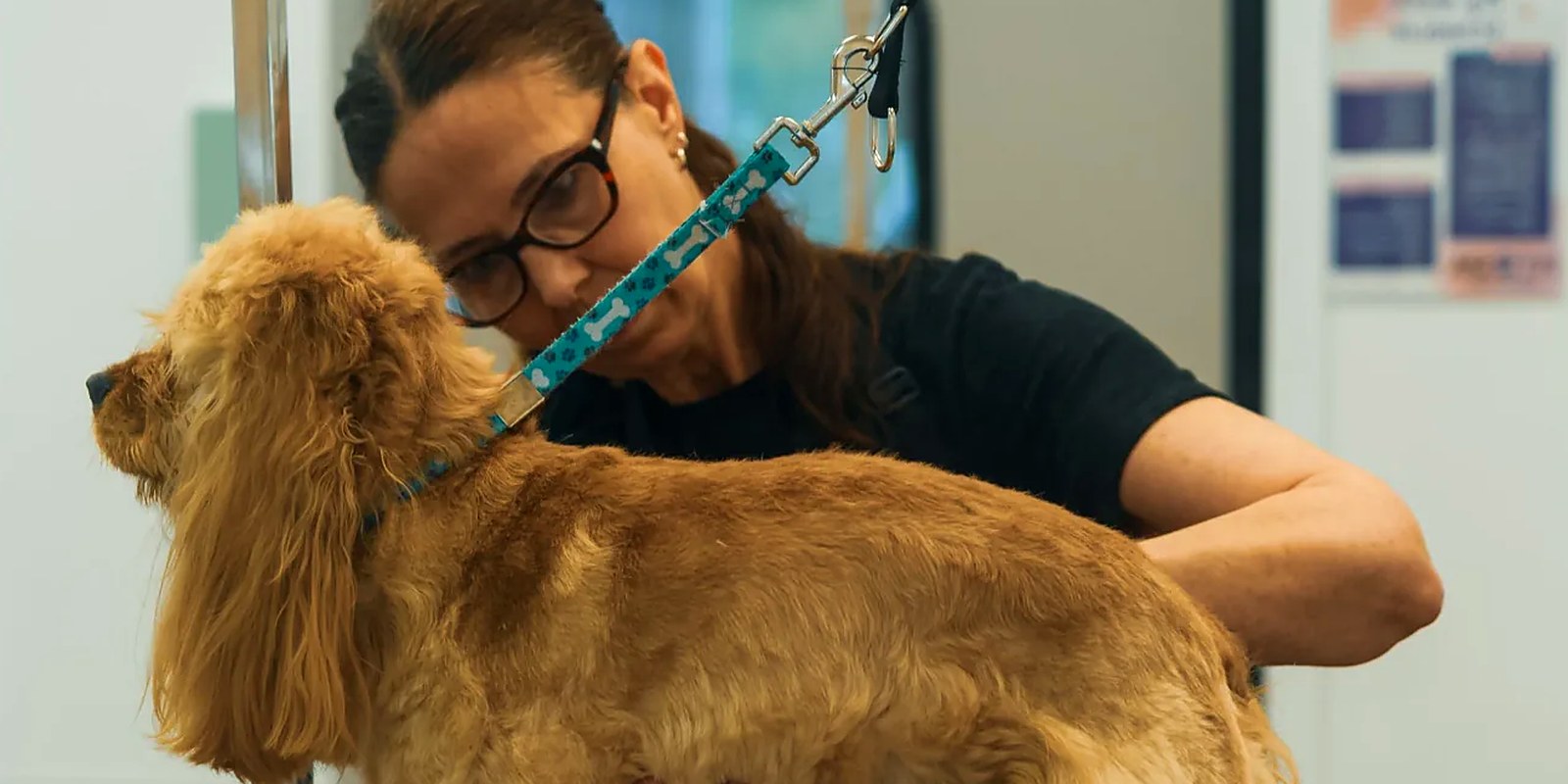The Lillian Ruff Pet Spa grooming salon storefront at 16 Laurel Rd, East Northport, New York