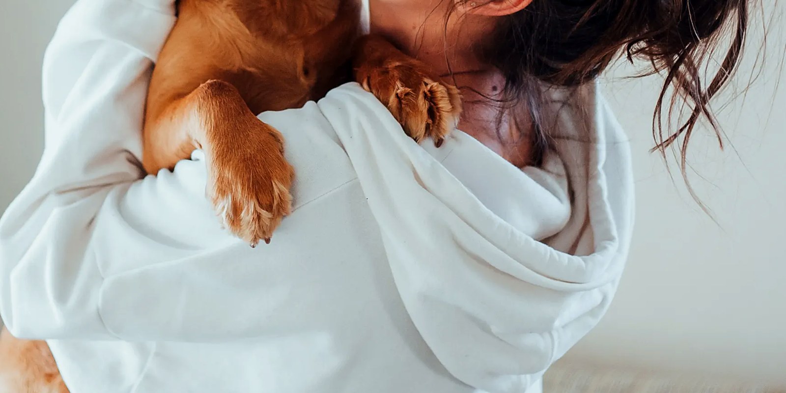 A groomer steadying a standing dog on a grooming table with one hand under the belly