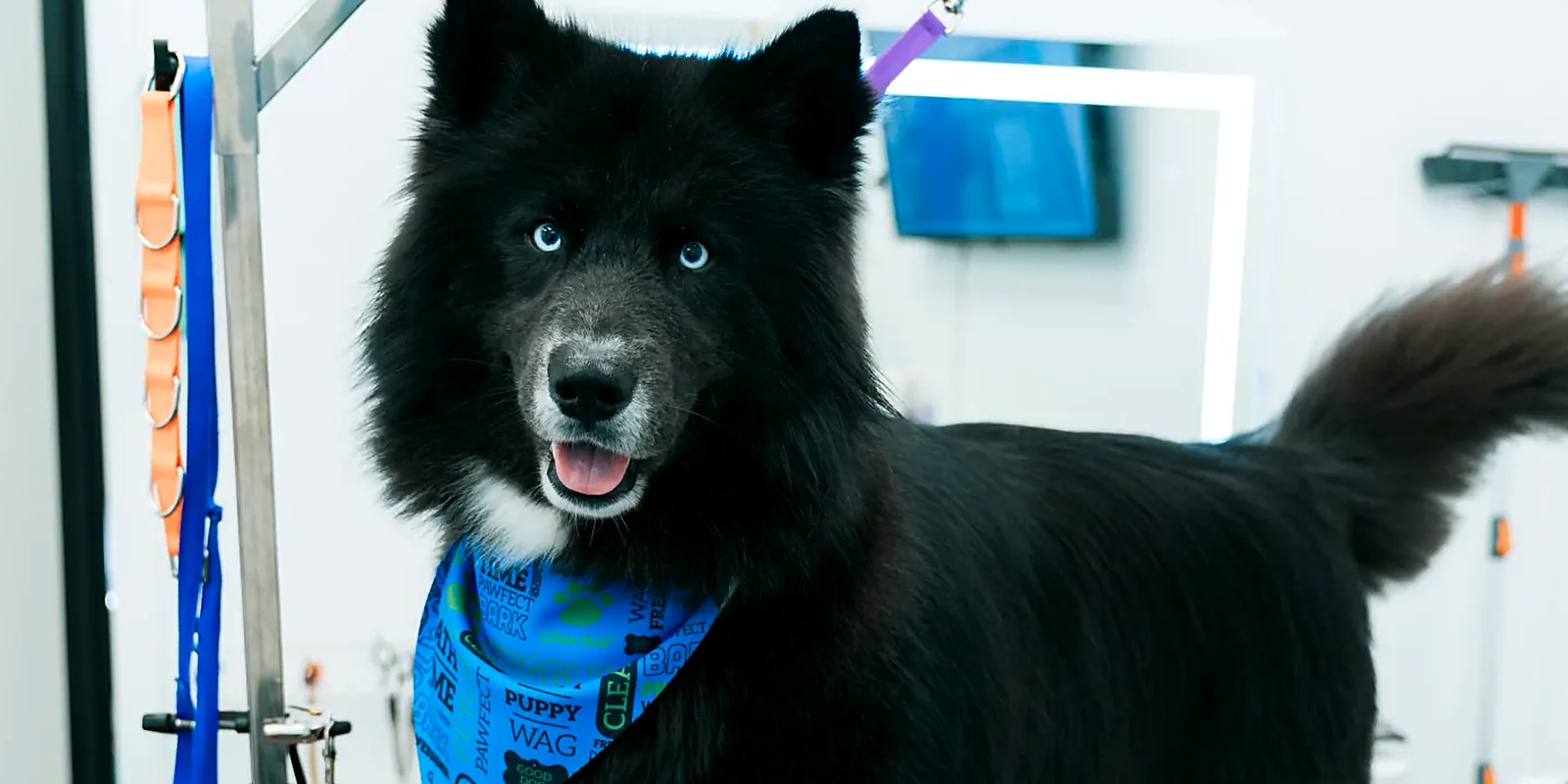 The Lillian Ruff Pet Spa storefront at 835 Portion Rd in Ronkonkoma, where boarding check-in runs 2pm to 7pm