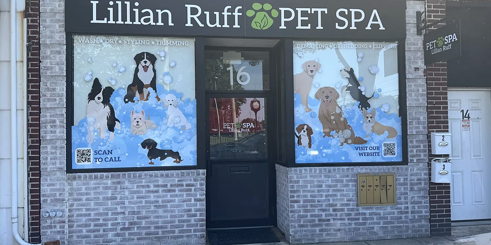 A dog standing calmly on a grooming table while a groomer checks its coat before starting