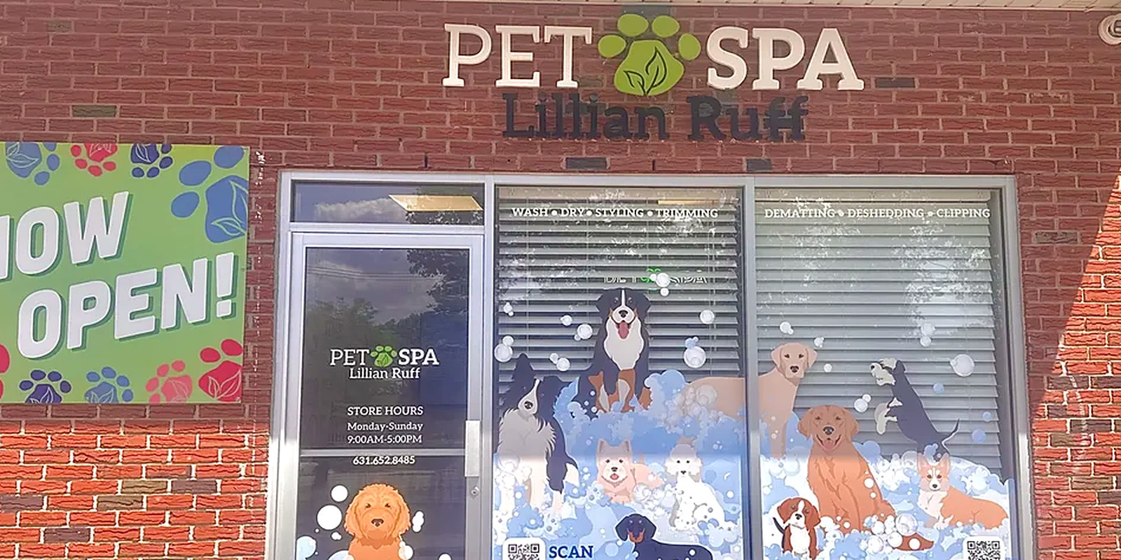 A dog standing calmly on a grooming table while a groomer gently holds one front paw