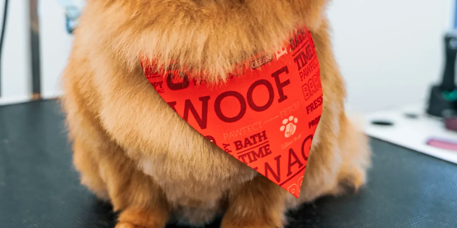 The Lillian Ruff Pet Spa storefront at 835 Portion Rd in Ronkonkoma, the full-service grooming, daycare and boarding location.