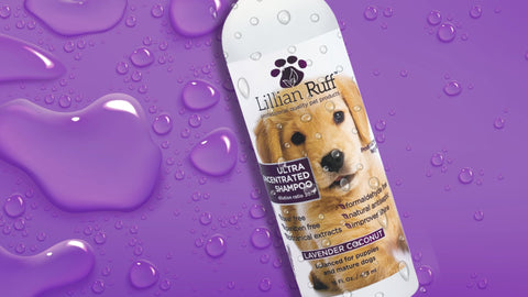 How to Choose the Best Pet Shampoo for Your Dog's Needs - Lillian Ruff Pet Spa